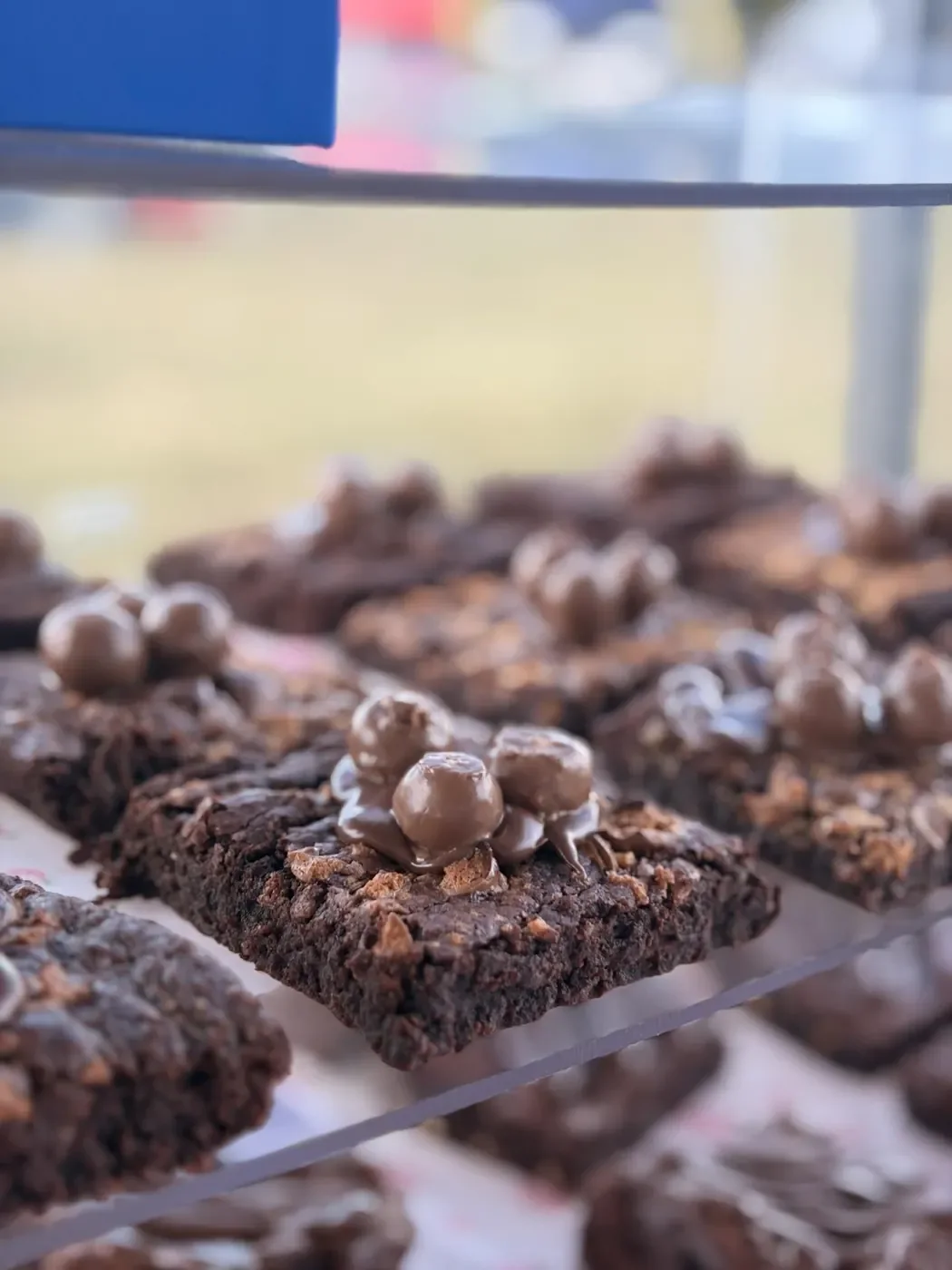 Malteaser Brownie